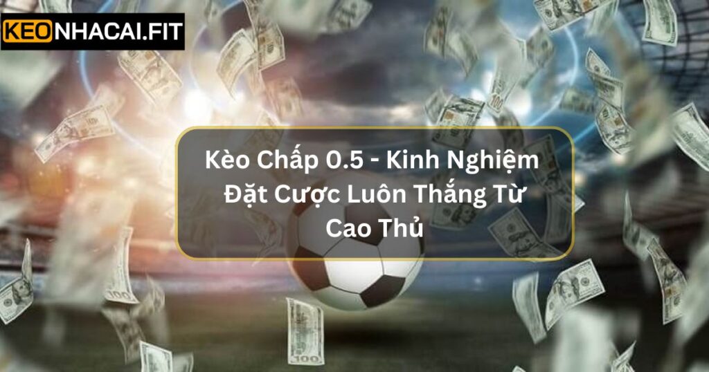 Kèo Chấp 0.5 - Kinh Nghiệm Đặt Cược Luôn Thắng Từ Cao Thủ 2 Kèo Chấp 0.5 - Kinh Nghiệm Đặt Cược Luôn Thắng Từ Cao Thủ