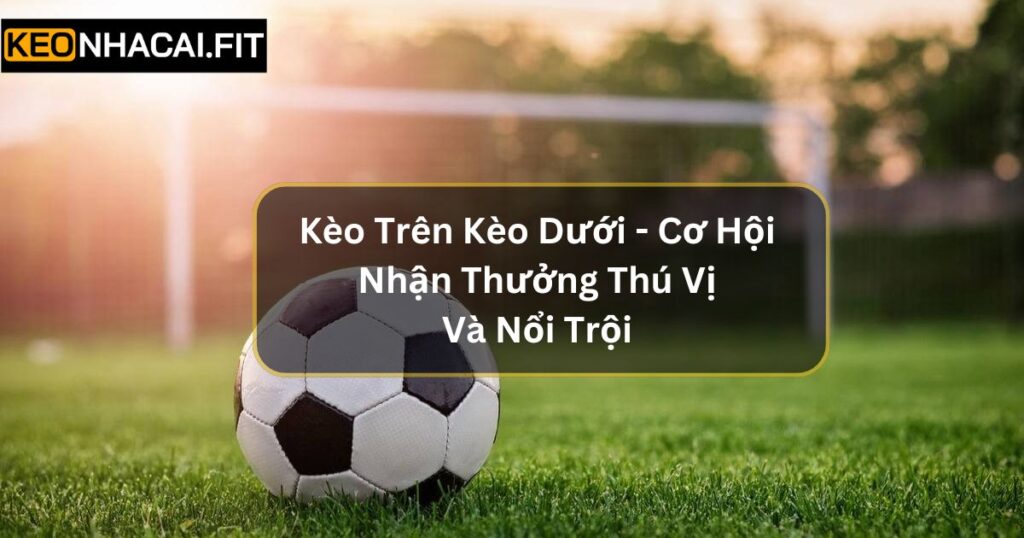 Kèo Trên Kèo Dưới - Cơ Hội Nhận Thưởng Thú Vị Và Nổi Trội 4 Kèo Trên Kèo Dưới - Cơ Hội Nhận Thưởng Thú Vị Và Nổi Trội
