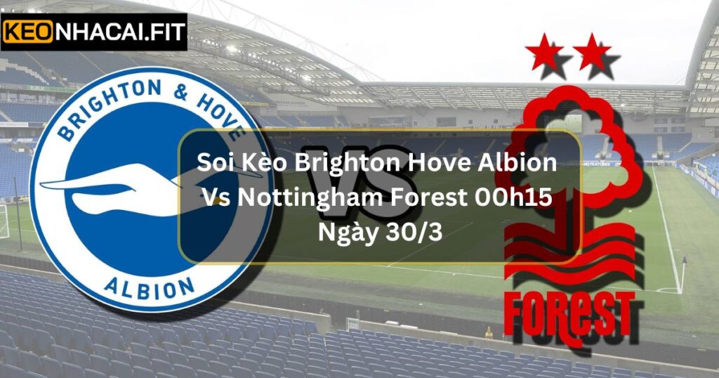 Soi Kèo Brighton Hove Albion Vs Nottingham Forest 00h15 Ngày 30/3 5 Soi Kèo Brighton Hove Albion Vs Nottingham Forest 00h15 Ngày 30/3