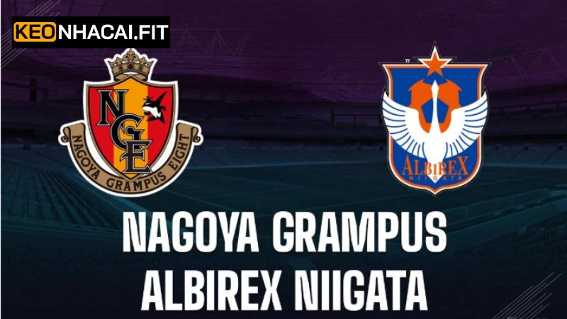 Soi Kèo Nagoya Grampus Vs Albirex Niigata 12h Ngày 31/5 1 Soi Kèo Nagoya Grampus Vs Albirex Niigata 12h Ngày 31/5