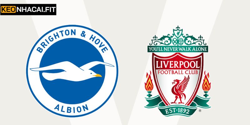 Soi Kèo Brighton Hove Albion Vs Liverpool Lúc 19h30 Ngày 21/03 2 Brighton Hove Albion Vs Liverpool Lúc 19:30 Ngày 21/03